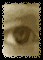 Click to go to Syruss